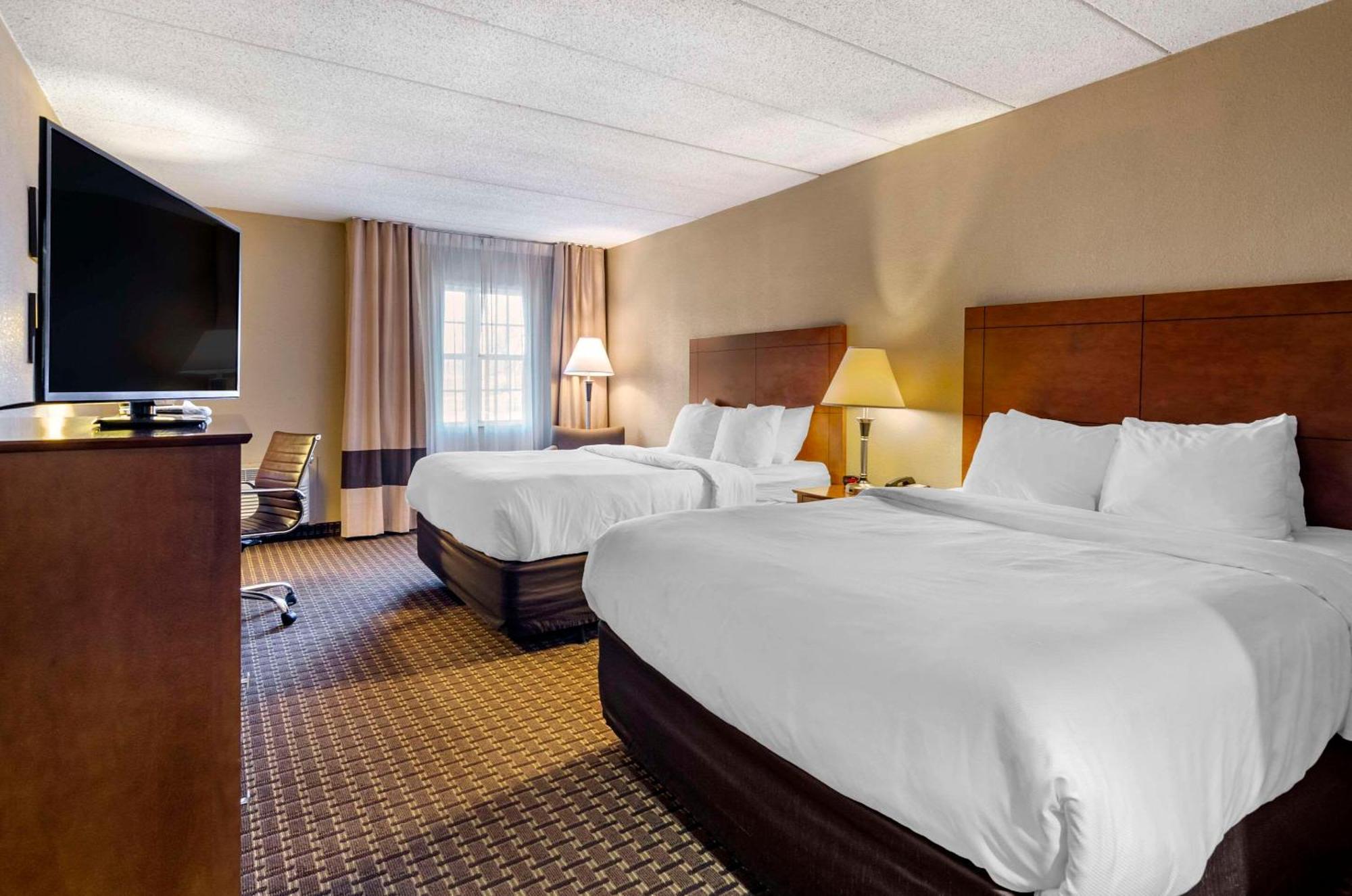 Comfort Inn & Suites Raphine - Lexington Near I-81 And I-64 Dış mekan fotoğraf