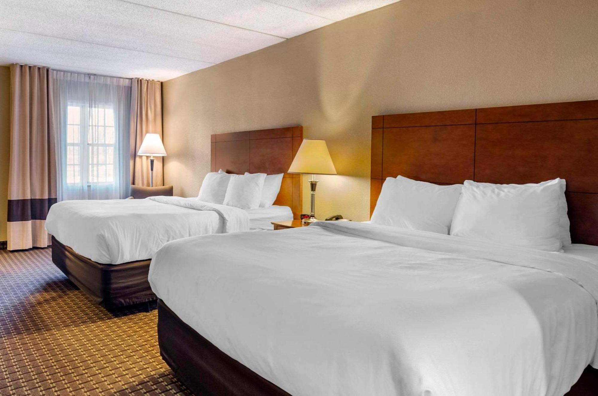 Comfort Inn & Suites Raphine - Lexington Near I-81 And I-64 Dış mekan fotoğraf